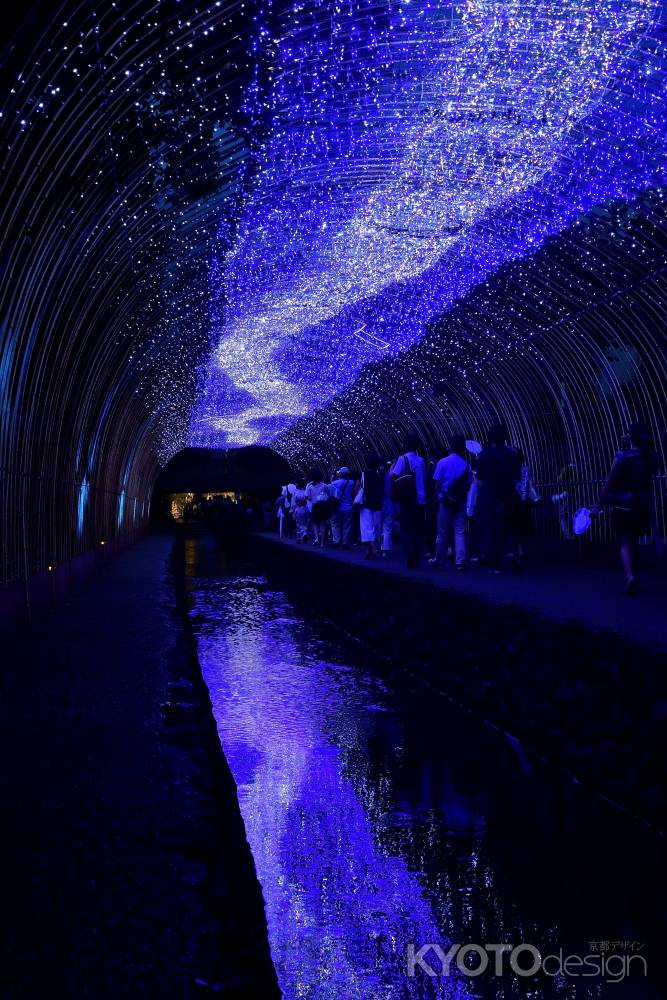 光の揺らめき、京の夏