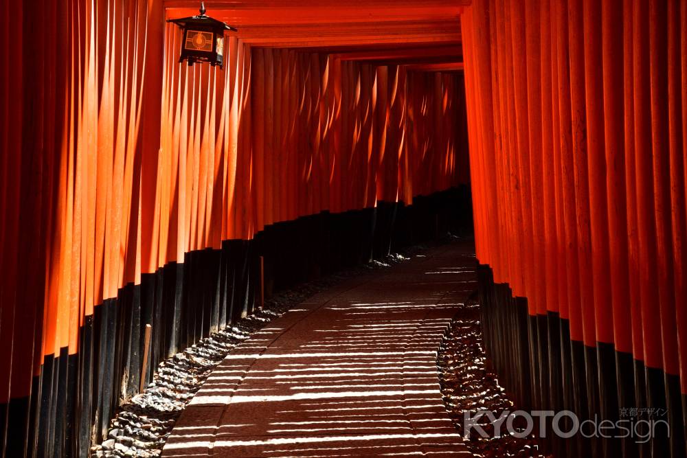 陰陽のストライプ