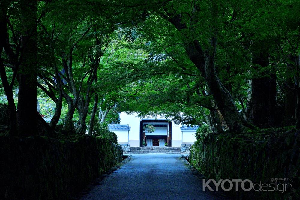 静寂、琴の坂、