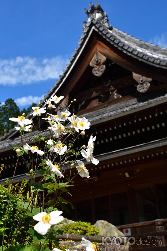 西山、花寺の秋