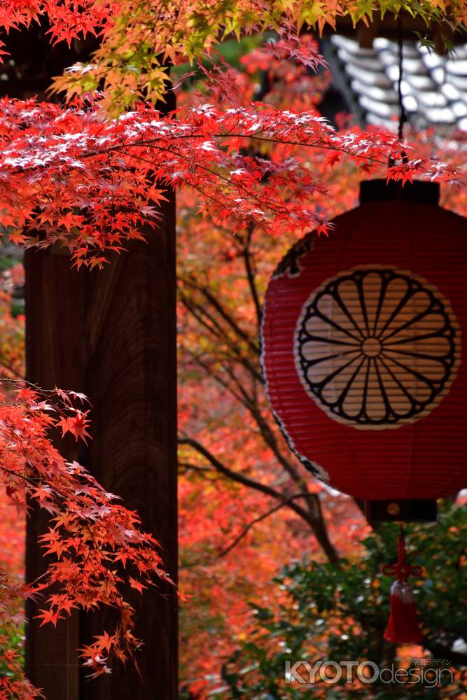 禅院、彩りの候