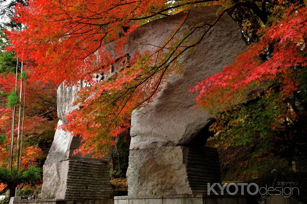 禅寺、彩る霜月