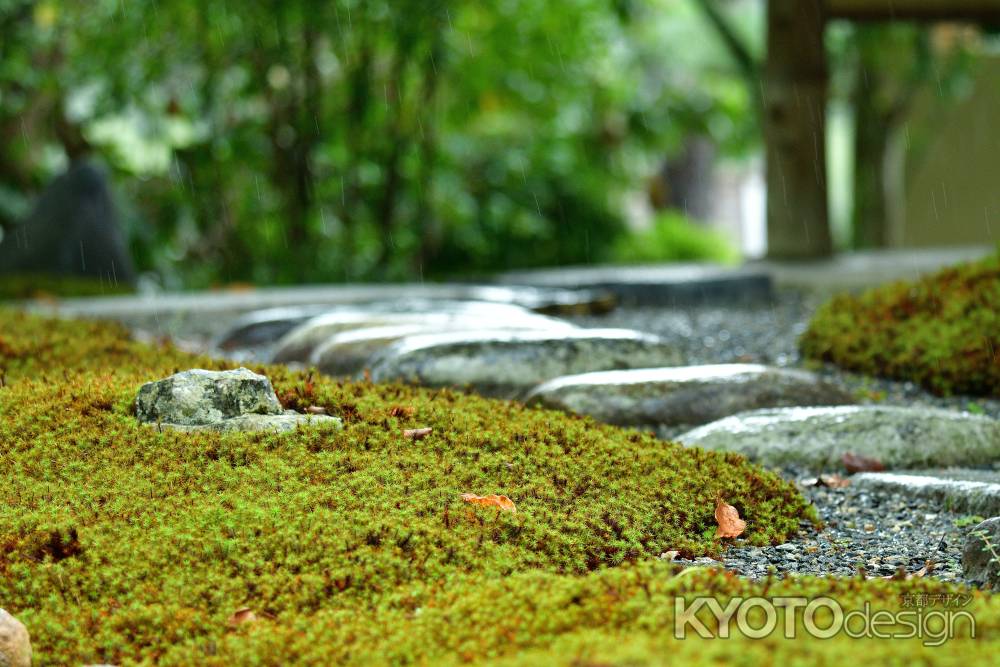 苔と石の露地