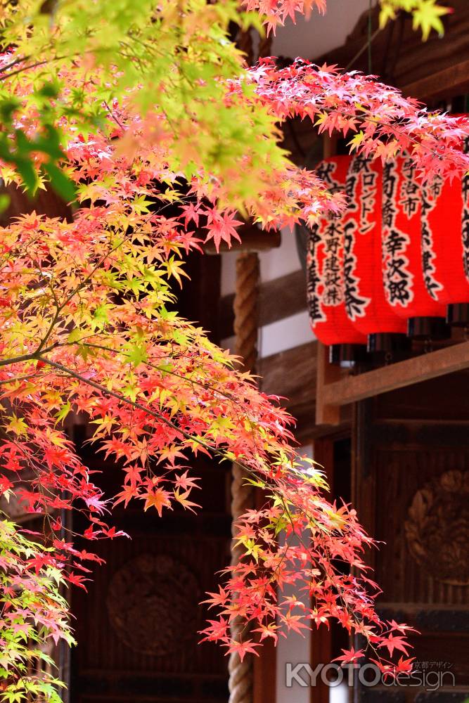 秋彩、数珠の寺