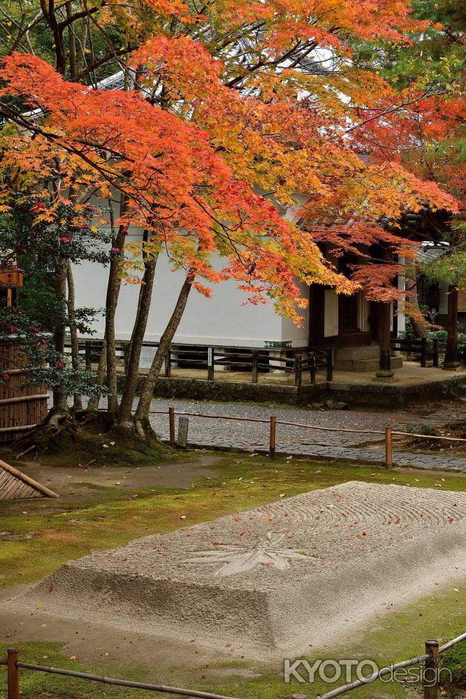 染まる白砂の庭