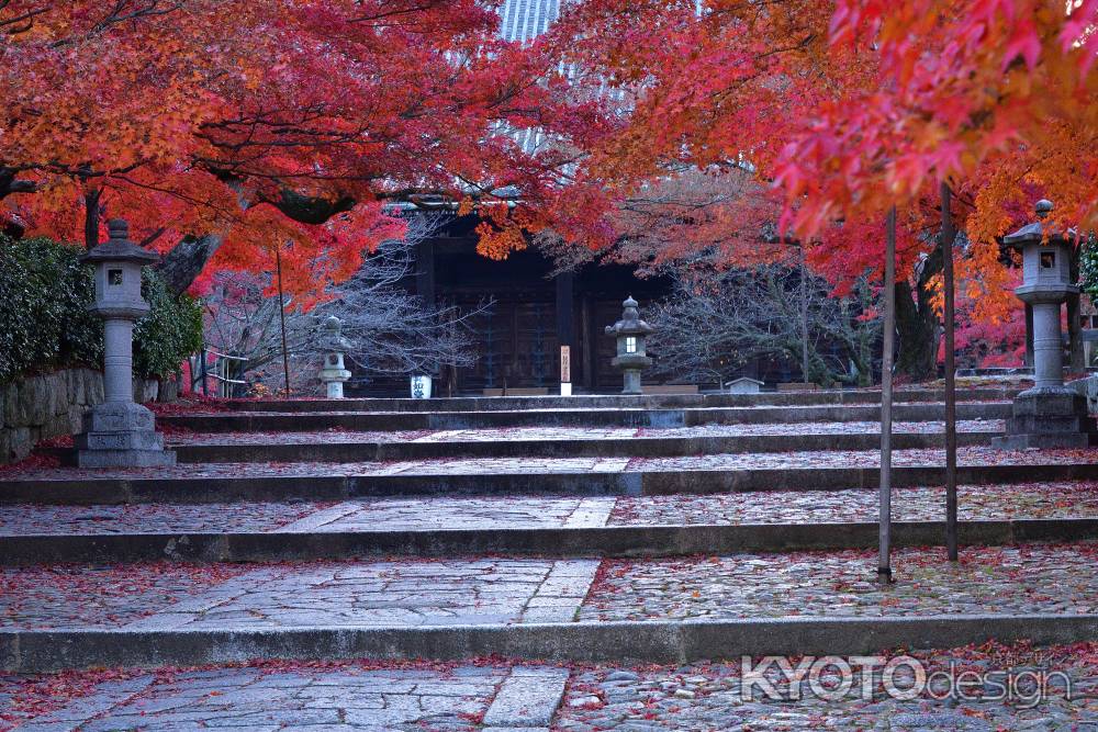霜月、静寂の彩