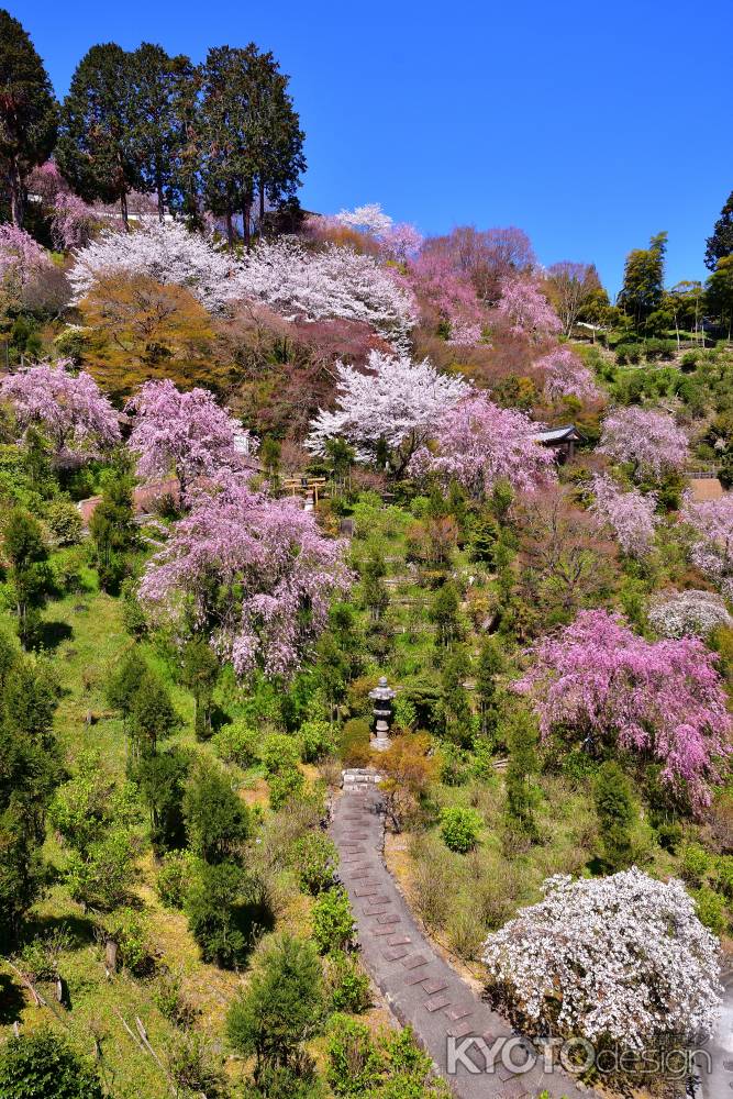 西山、陽春の候