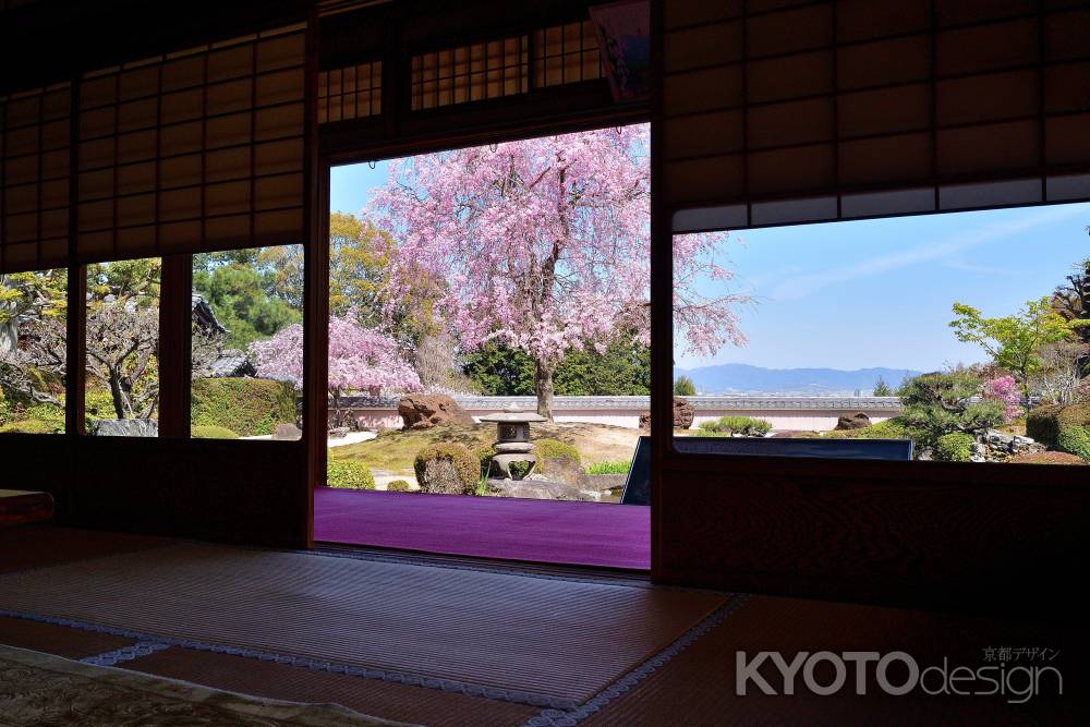 書院、春の趣き