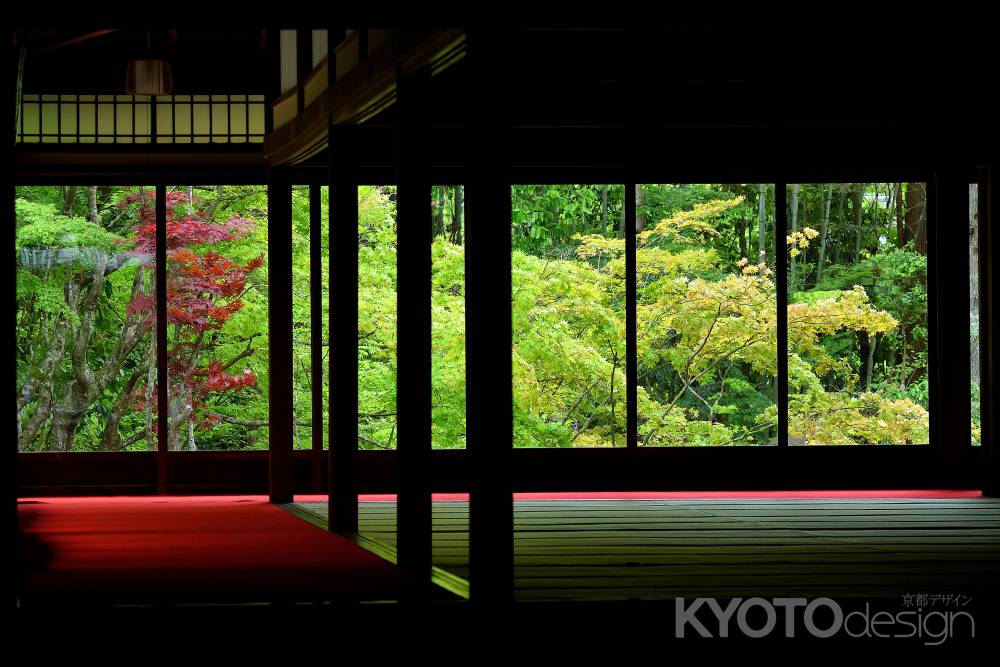 碧き授かりもの