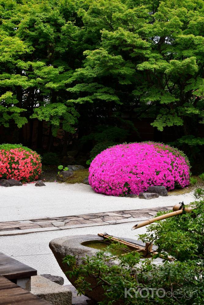 彩り、白砂の庭