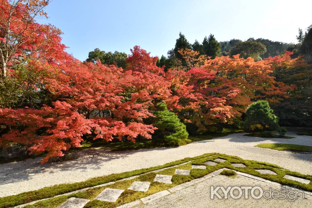 洛東 彩りはじめ