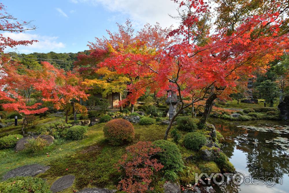 侘びの庭、秋深し