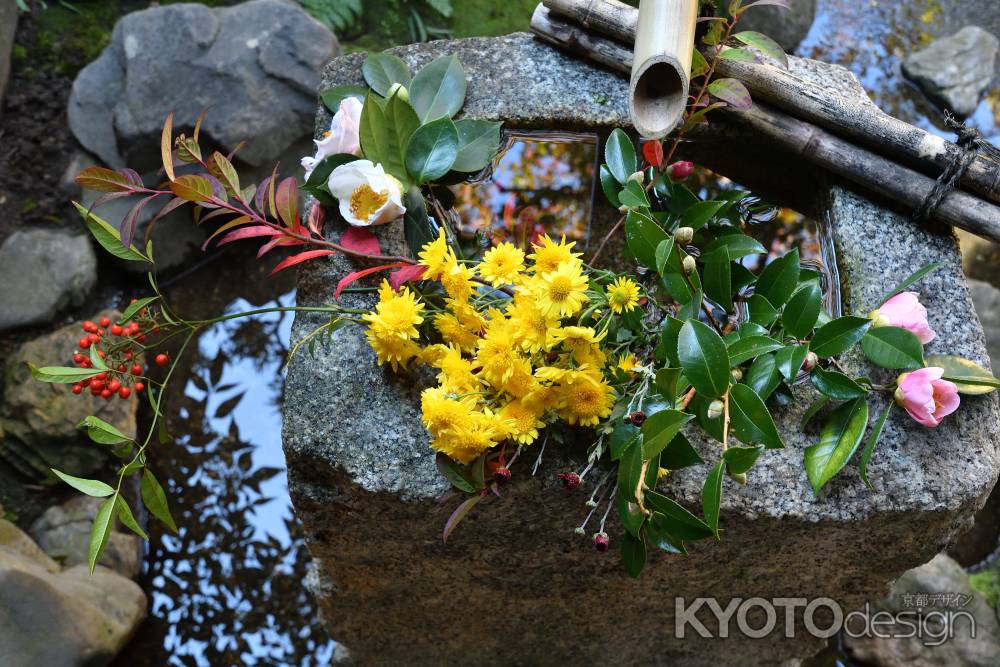 茶人の花あしらい