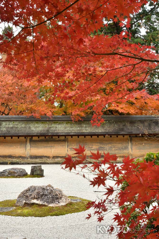 染まる枯山水