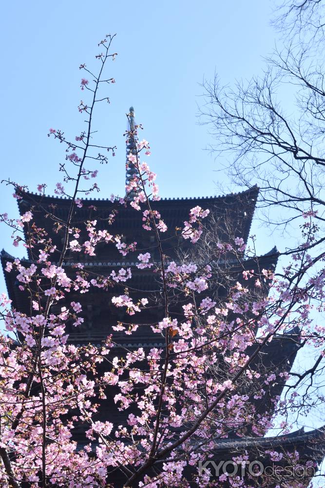 弘法大師の春便り