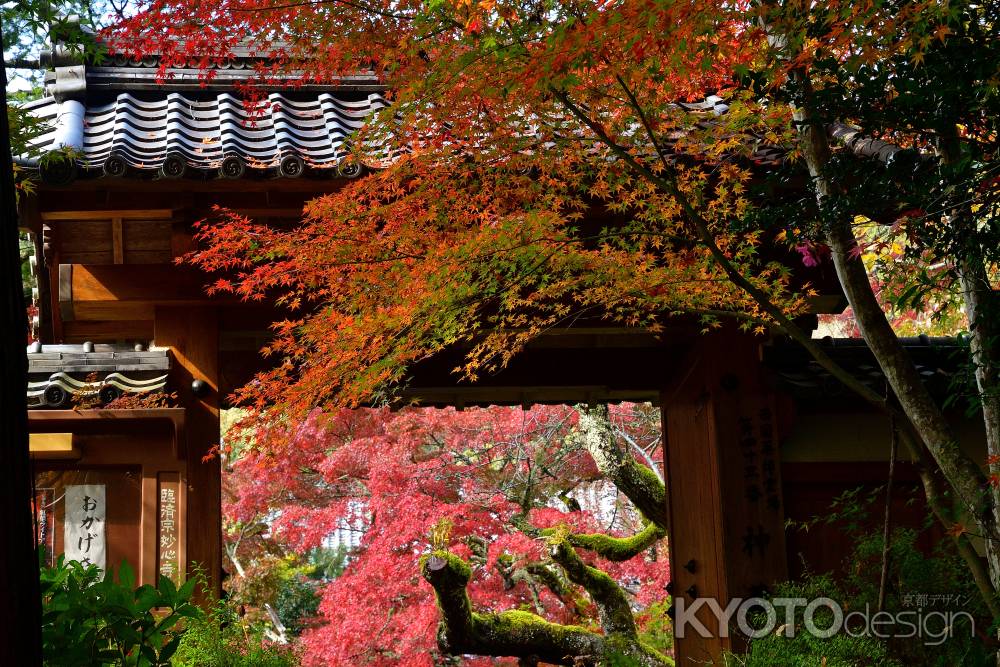 深秋の山寺