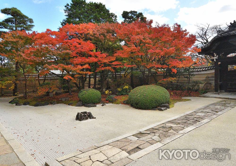 寺之内、深秋の庭