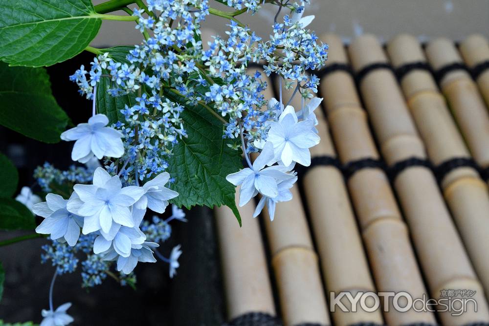 寺之内、清涼の庭