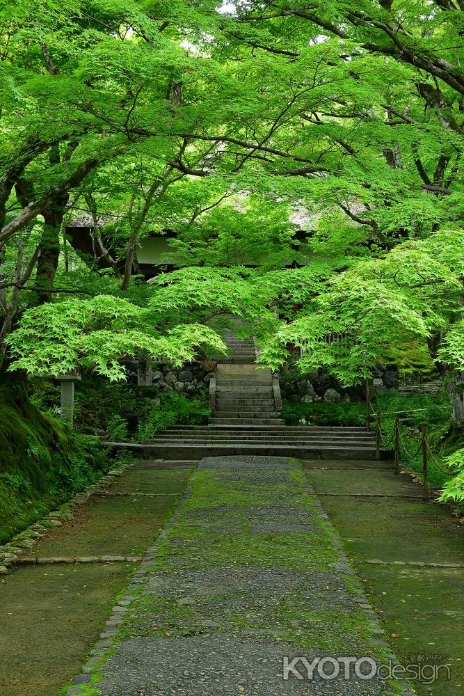 深緑、三門と石段