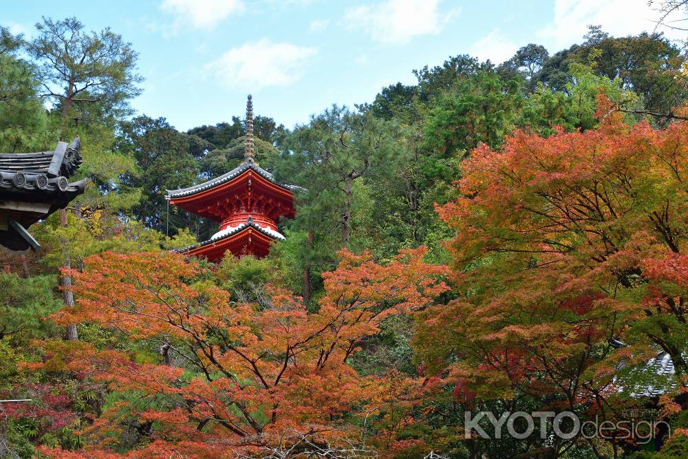 紅葉のご朱印
