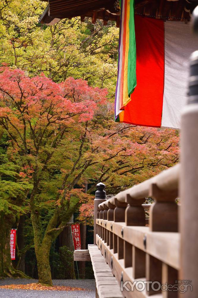 観音寺, 彩りの候