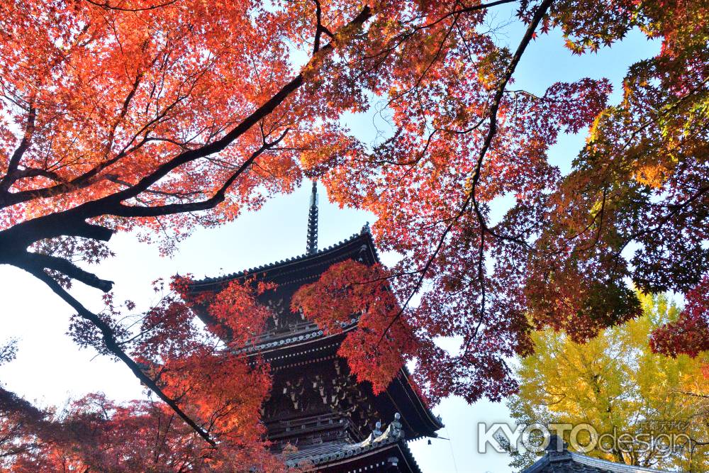 秋空、鮮やかに