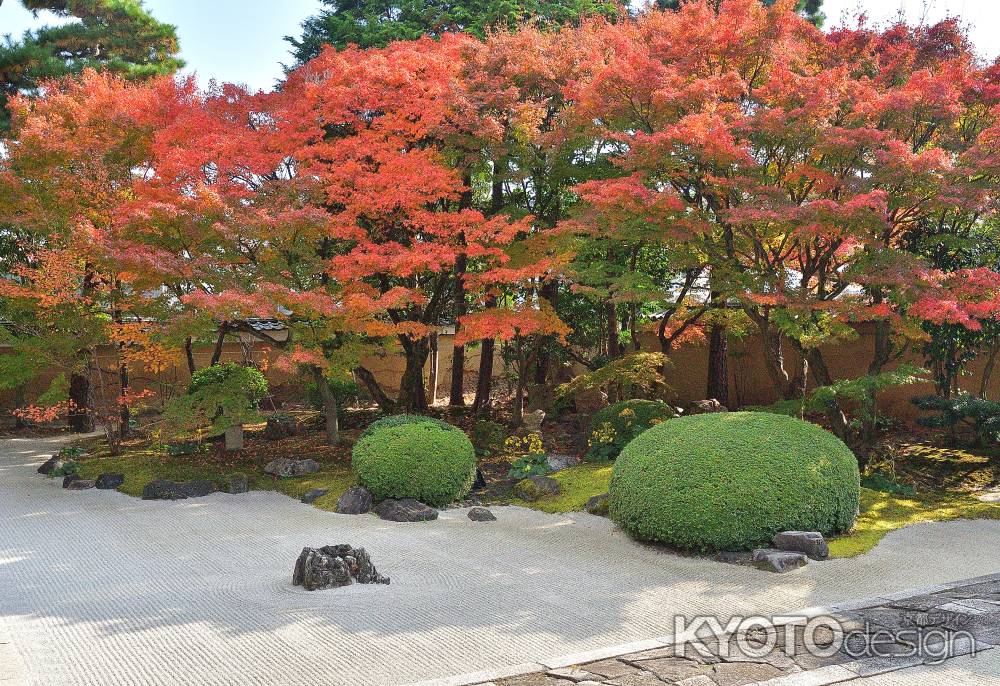 石庭、秋の風情