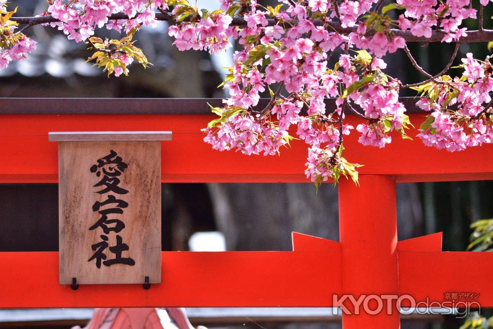 春風、藝能の社