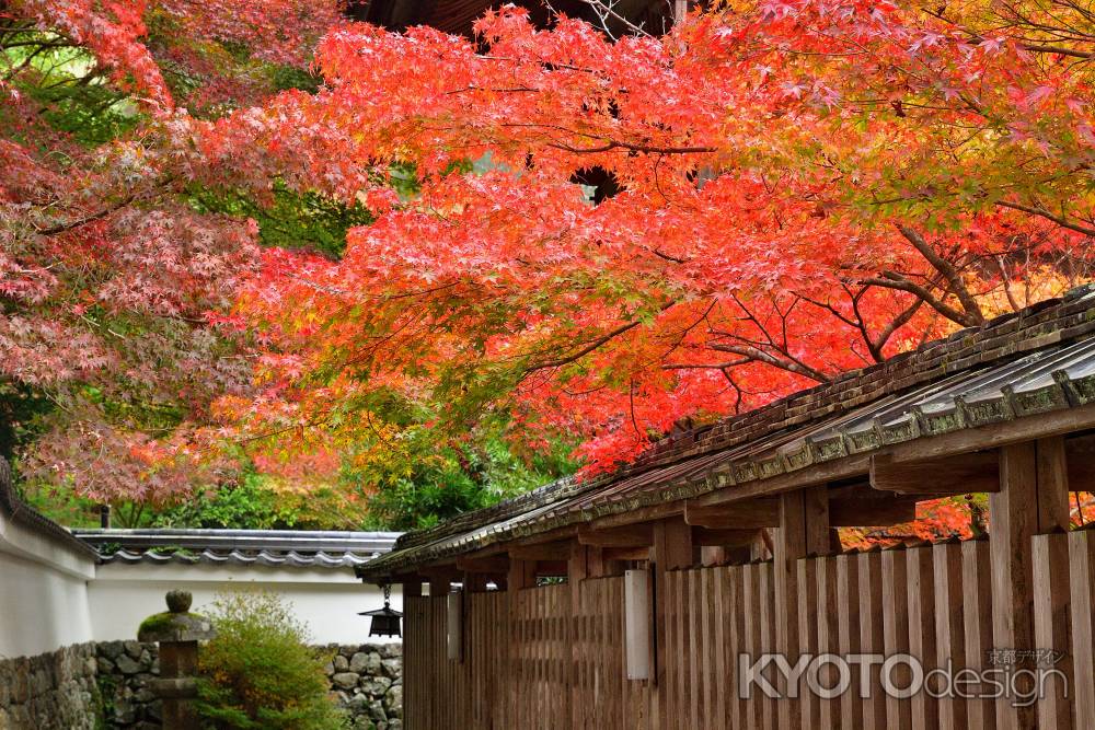 矢田宮, 錦秋の便り