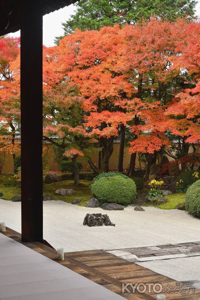 深秋、白砂の庭