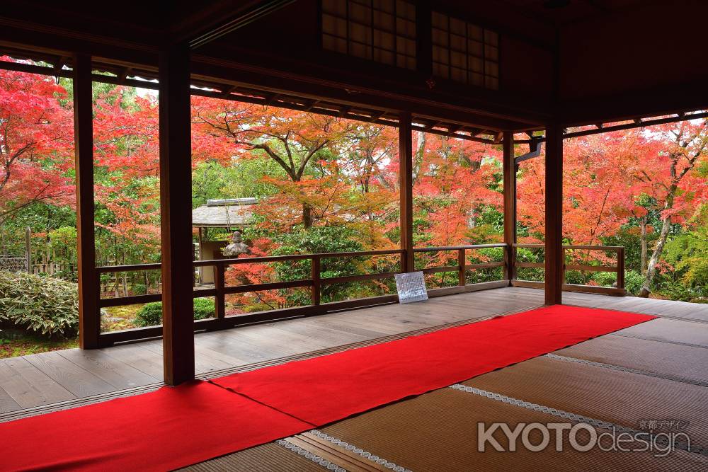 花園、秋の風物詩