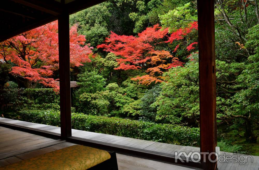 禅寺、椛の彩り