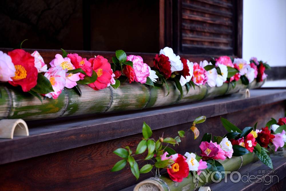 椿門跡、春の彩