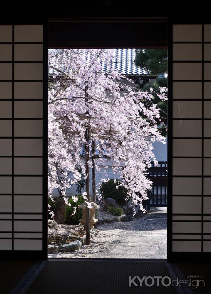 寺之内、春の錦絵