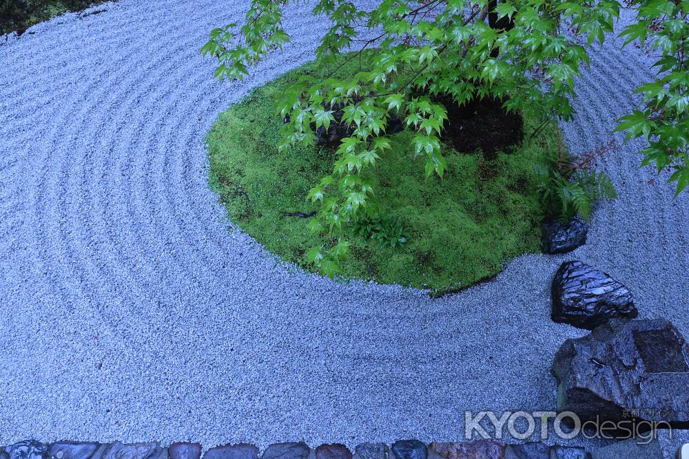 白砂の庭、新緑の候