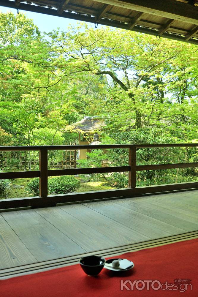 青葉、且座喫茶