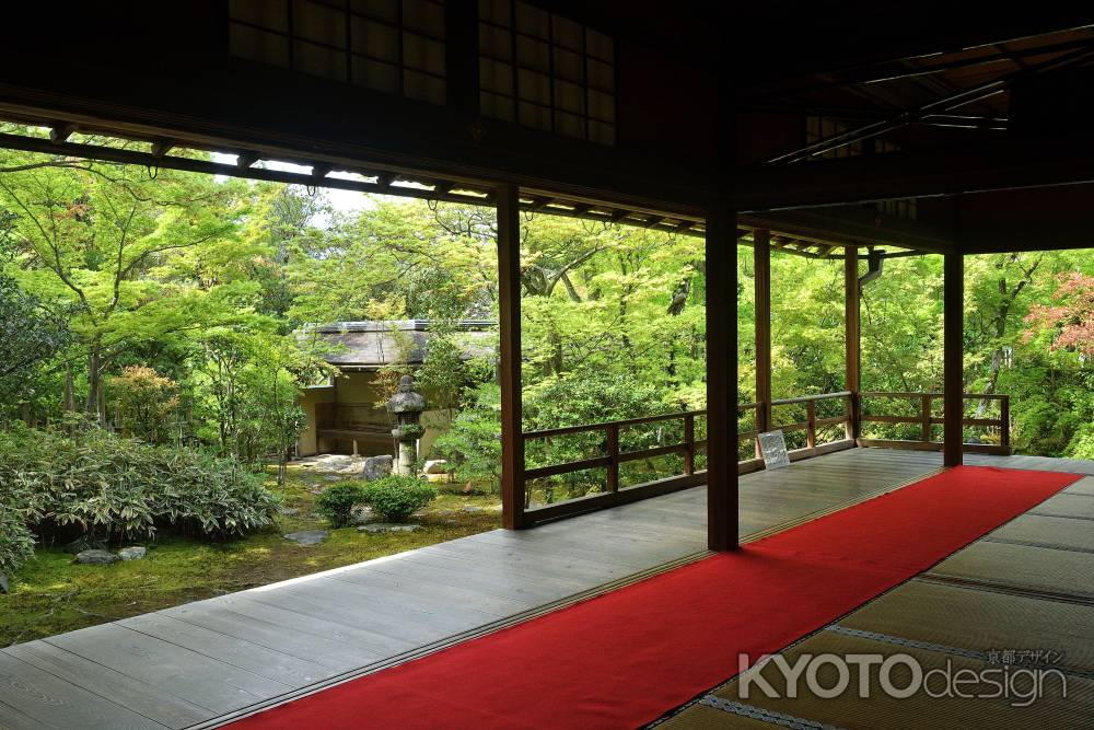 禅庭、若葉の便り