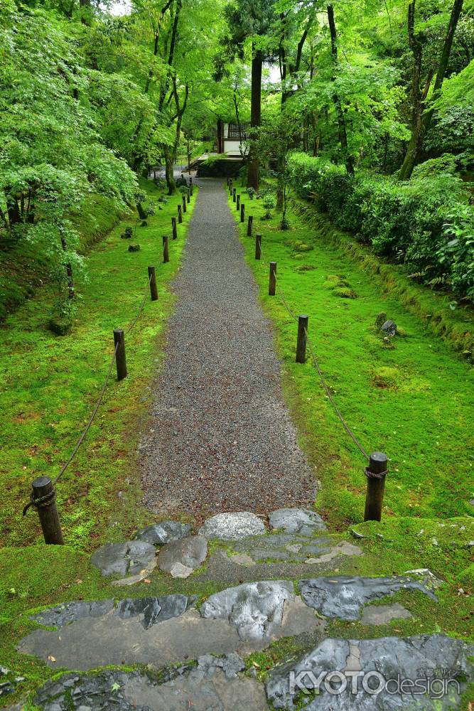 竹の寺、皐月の便り