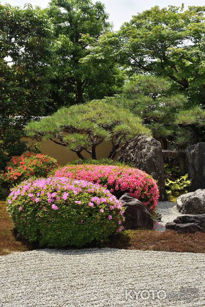 静寂のサツキ日和