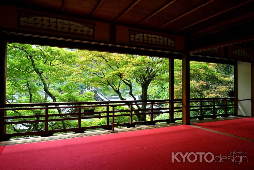 上書院の青もみじ