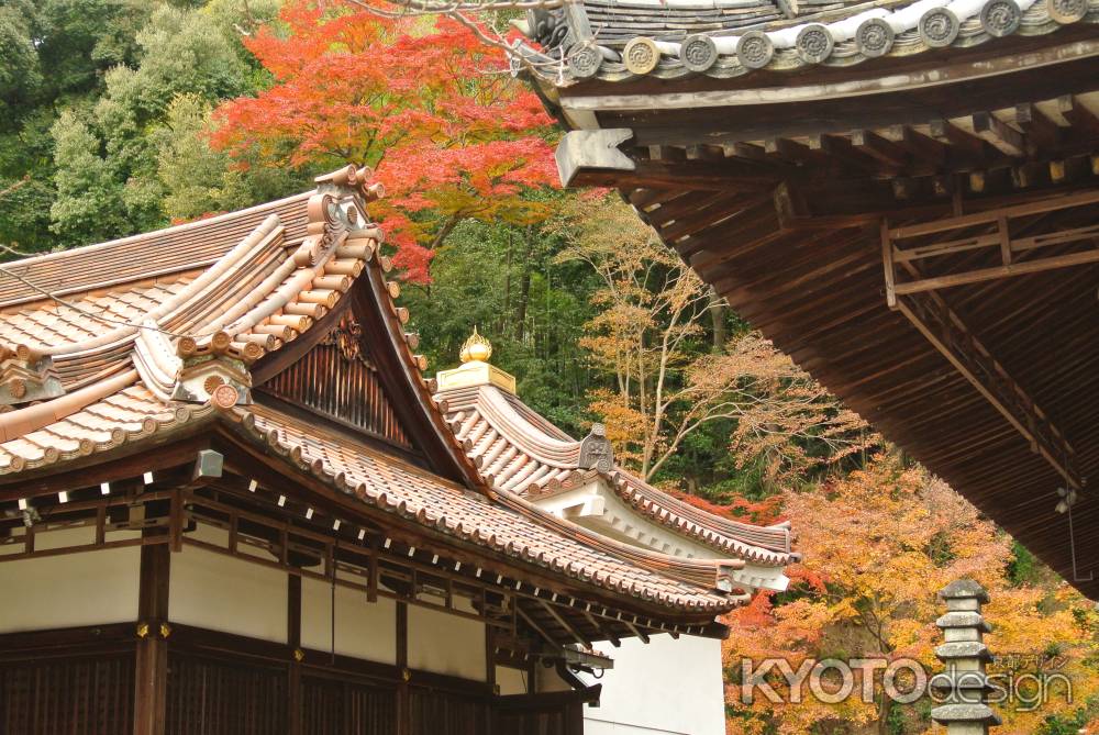 天王山　秋の陣