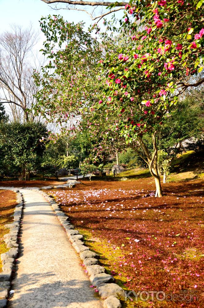 谷の御所、椿のころ