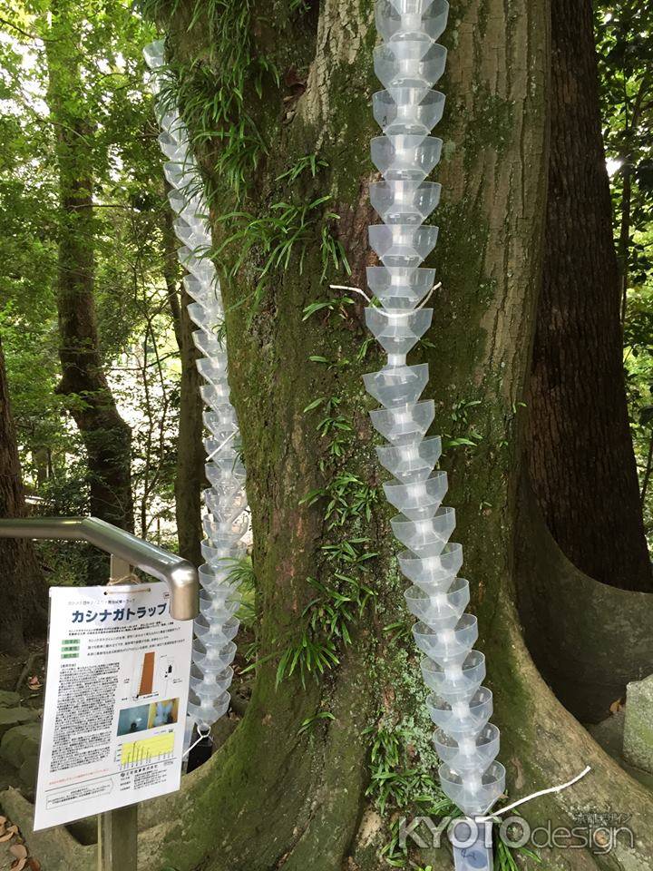 石清水八幡宮4 2015.06.28