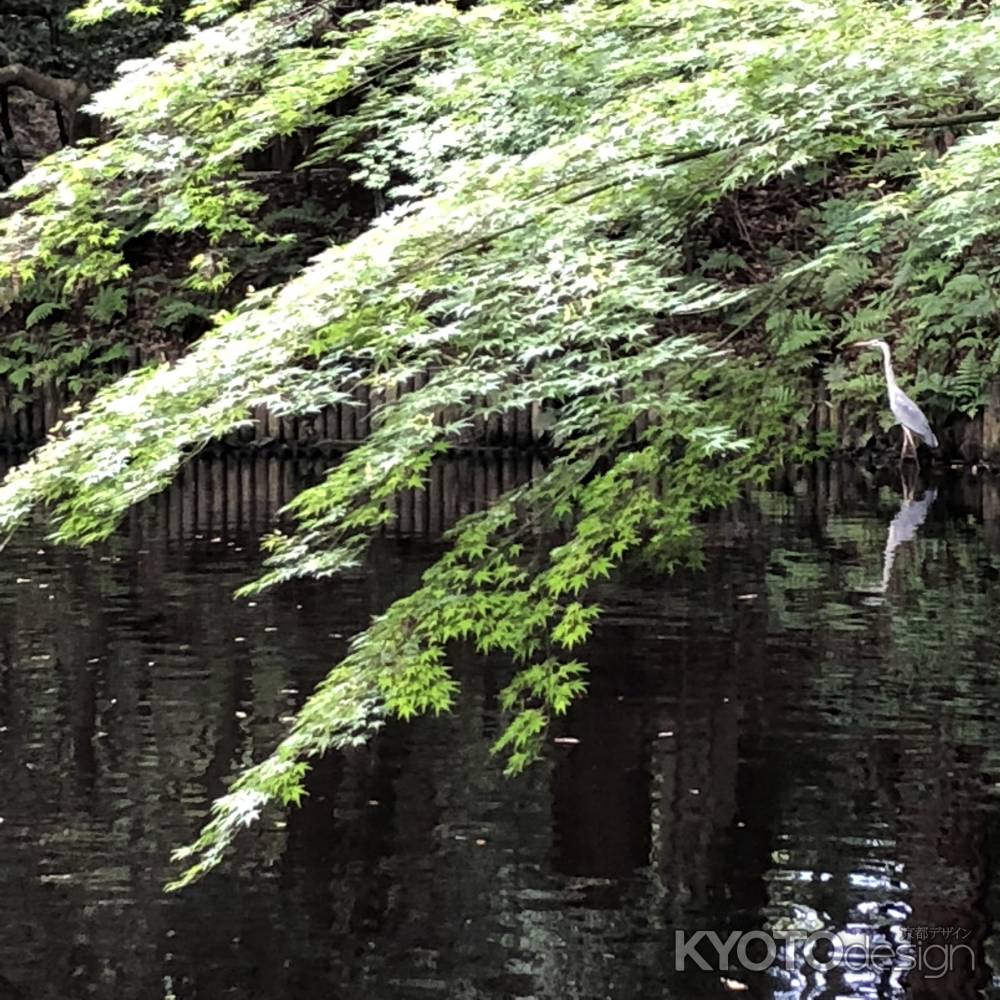 石上神宮20180603-h