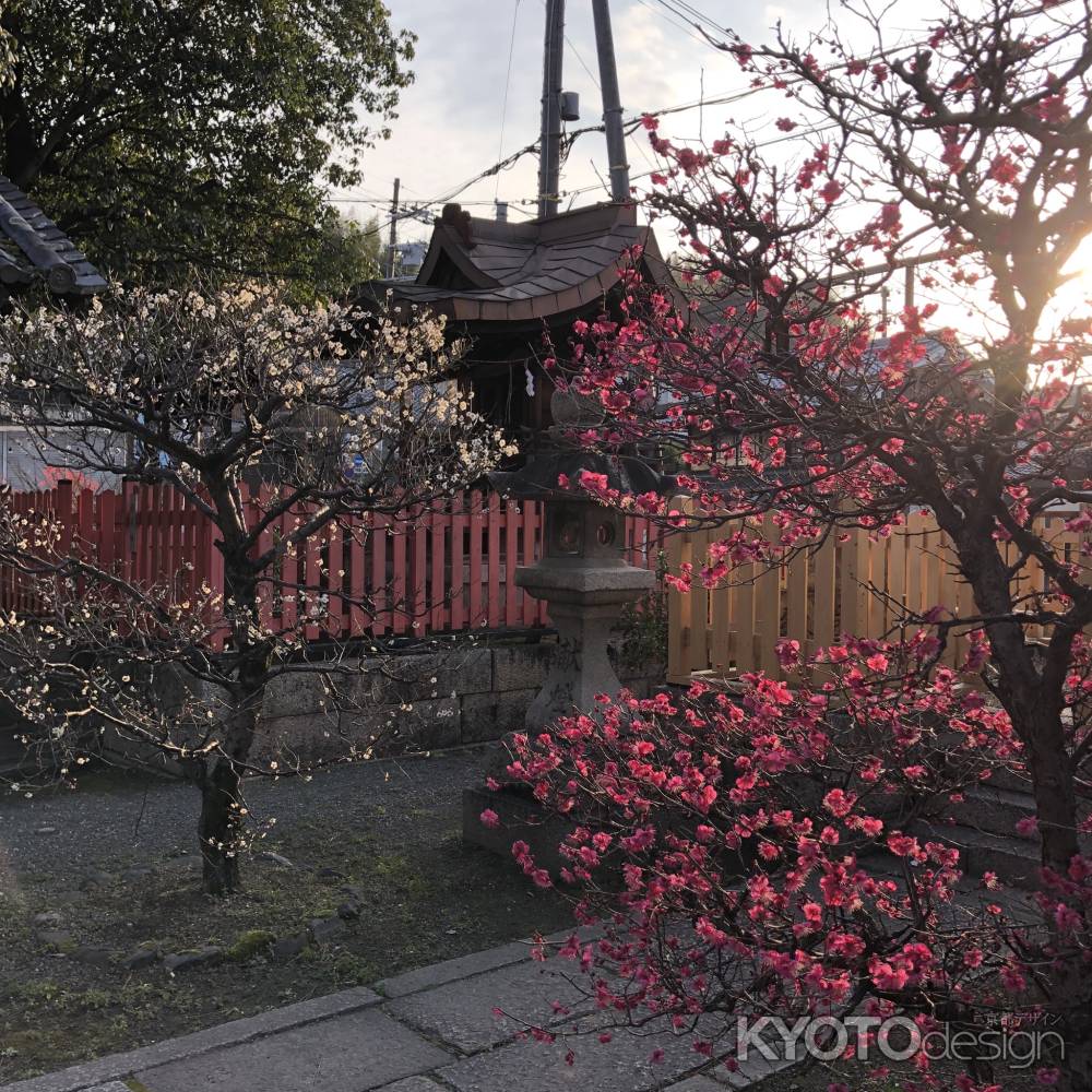 2019.02.09縣神社