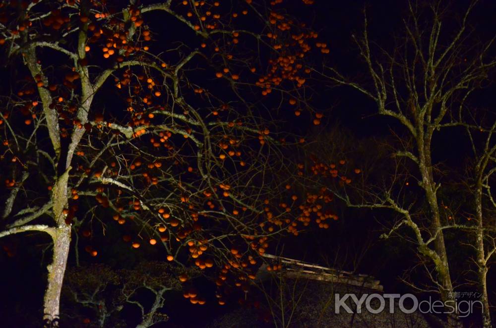 嵐山花灯路2016 ライトアップ　落柿舎 (20161218i)
