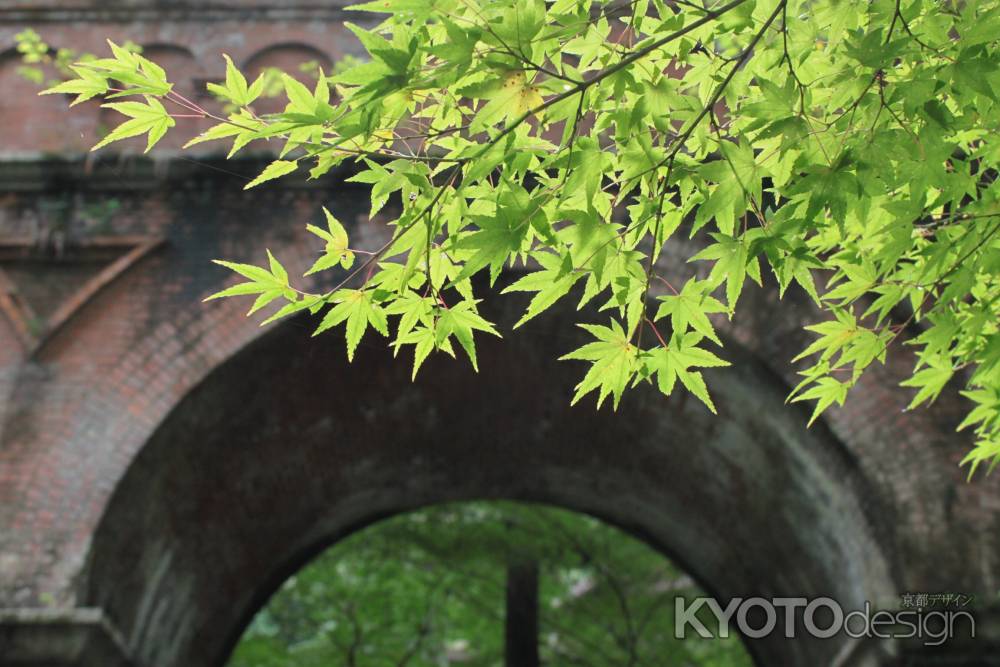 水路閣ともみじ