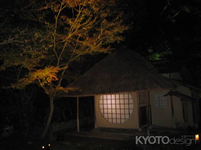 高台寺ライトアップと紅葉