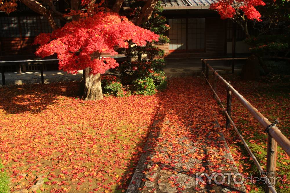 源光庵の敷き紅葉