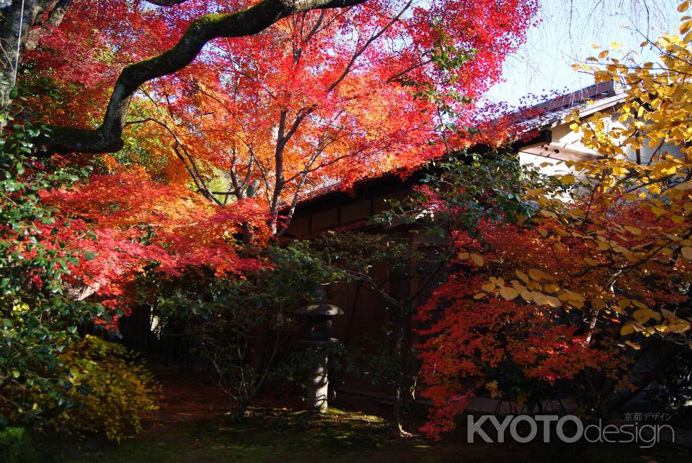 妙心寺退蔵院６